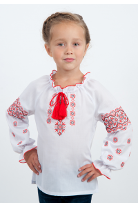 Vyshyvanka for a girl Akylyna