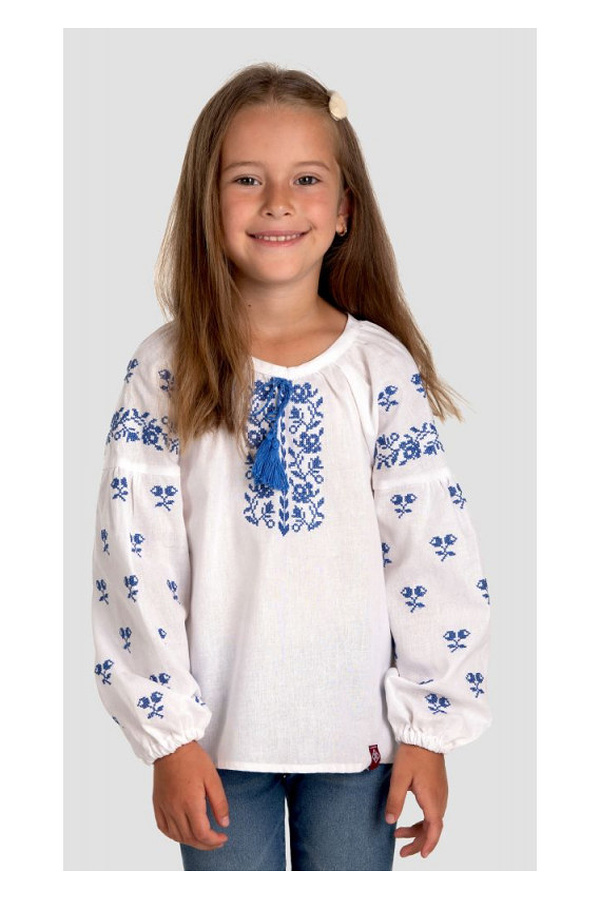 Rozana blue embroidered shirt for a girl