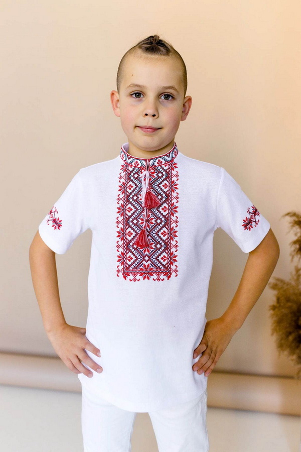 Embroidered vyshyvanka T-shirt for a boy Zoryanchyk white with blue,