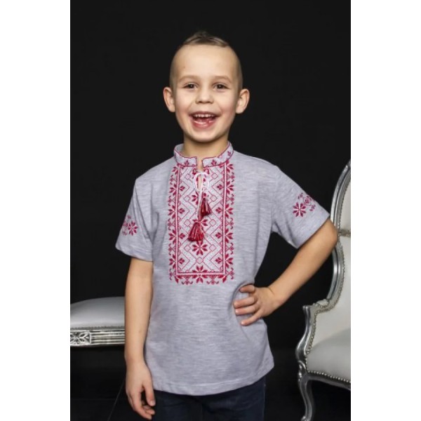 Zoryanchyk, gray embroidered t-shirt for boys