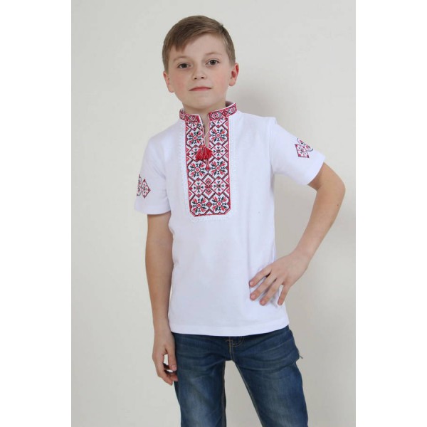 Ivanko, a boy's T-shirt with blue embroidery