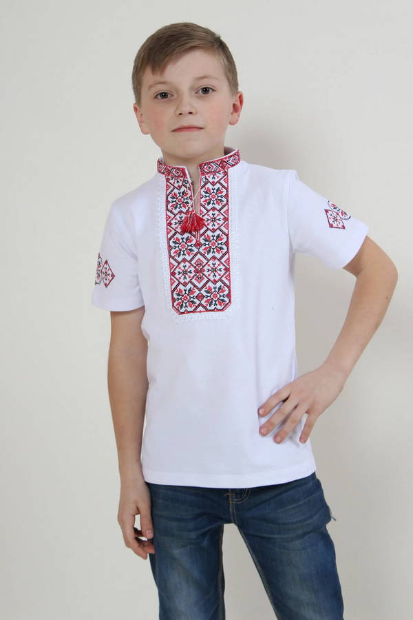 Ivanko, a boy's T-shirt with blue embroidery