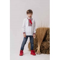 Stozhary red, embroidered shirt for a boy
