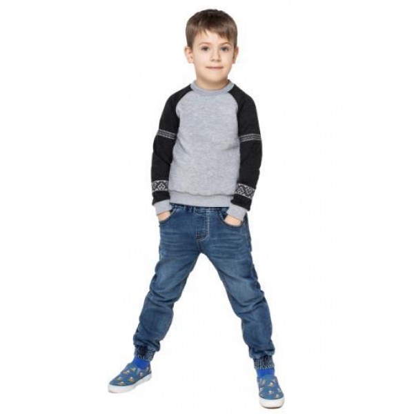 Boy's sweatshirt in gray color with embroidery on the sleeves 