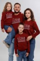 Men's warm burgundy sweatshirt with embroidery and fleece lining, Winter