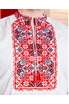 Men’s embroidered shirt with red-and-black Zhyttieslav Plus