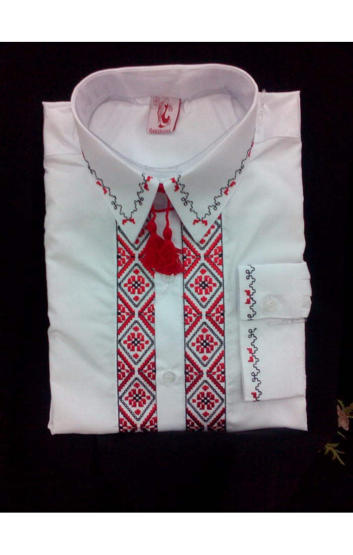 KOLOSVIT, men's classic shirt with embroidery