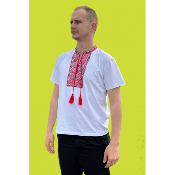 Embroidered men's T-shirt Nazariy