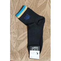 Шкарпетки чоловічі з гербом, розмір 27-29