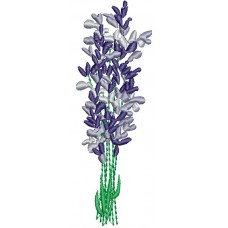 The program for machine embroidery of the Lavender