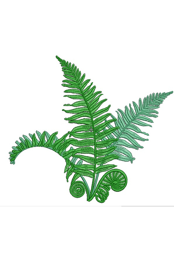 Design for machine embroidery Fern