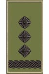 Дизайн для машинної вишивки Погон ЗСУ, Полковник