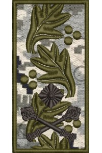 Design for machine embroidery Pogoni Brigadier General