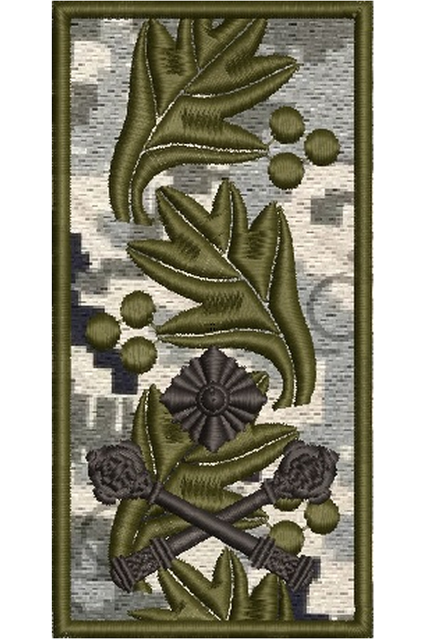 Design for machine embroidery Pogoni Brigadier General