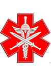 Дизайн машинной вышивки Шеврон Военная медицина