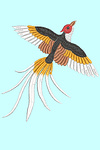 Design for machine embroidery Bird