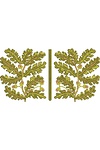 Дизайн машинной вышивки для рубашки, Дуб