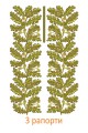 Machine embroidery design for a shirt, Oak