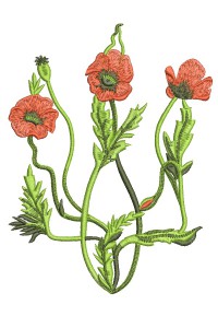 Program for machine embroidery, Coat of Arms of Ukraine with poppies