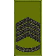 Дизайн для машинной вышивки Погон Главный сержант (старшина)