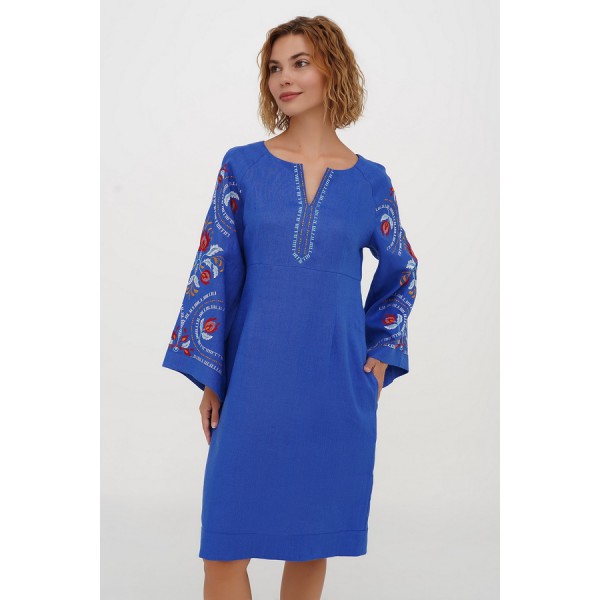 Blue embroidered dress Spring