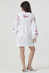Embroidered dress-vyshyvanka made of white linen Ruzhyna