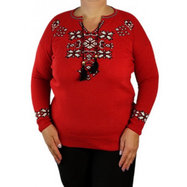 Hilochka shypshyny, dzhemper vyshyvanka zhinocha molochnyy 50 / 5 000 Результати перекладу A sprig of rose hips, a milky embroidered jumper for women